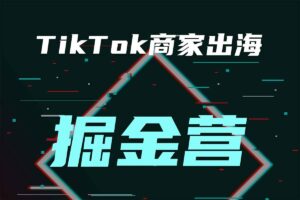 2025出海夺金从0-1跑通出海全流程，三节直播课从0-1跑通出海，教你用AI跑通全流程