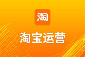照顾酱·电商人修炼手册，从0到1，手把手教你理解淘宝运营底层逻辑